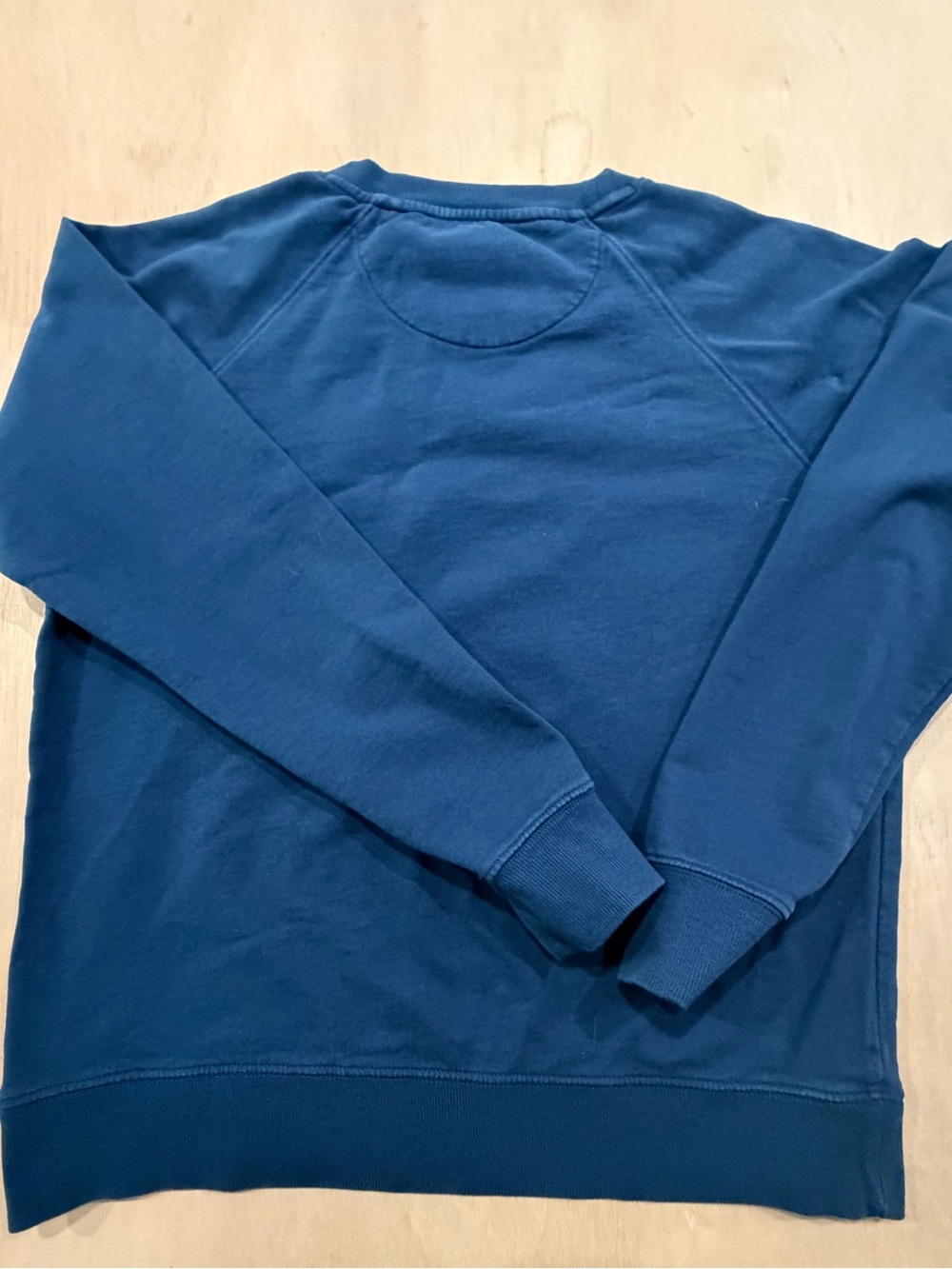 Patagonia Women’s Regenerative Organic Certified Cotton Sweatshirt - Blue Large - Picture 2 of 6